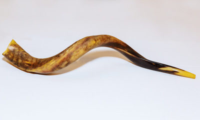 A voz do shofar
