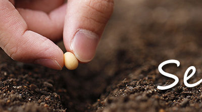 O poder da semente