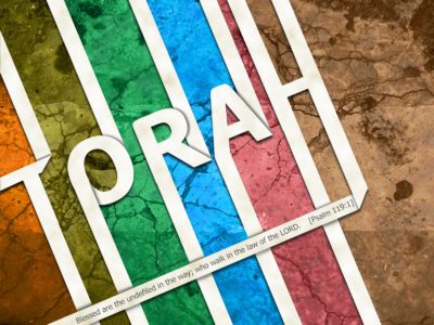 Uma Leitura da Torah