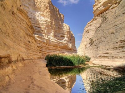 A Rocha que os seguiu