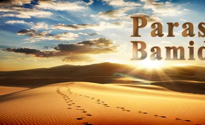 As pequenas coisas contam