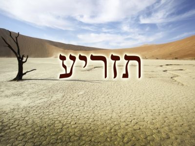 Parasha Tazria: Ajuste de tempo para D-us