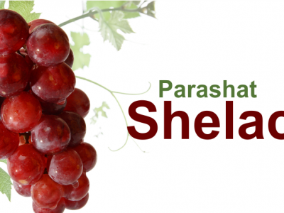 Shelach Lecha – a coragem de aceitar sua promessa