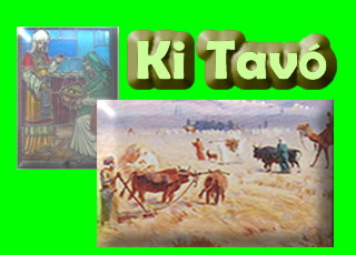 Ki Tavo – quando vieres