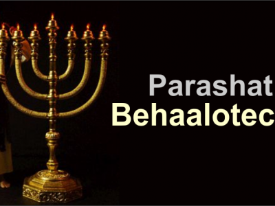 A Pureza da Menorá e a Impureza da Reclamação