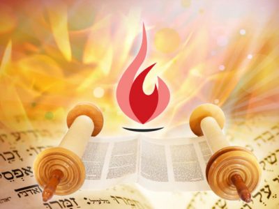 Não há lugar como o lar