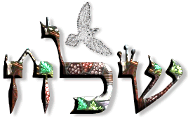 A coragem de aceitar sua promessa