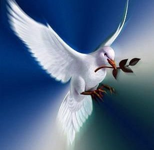 Uma Pomba Entre Águias