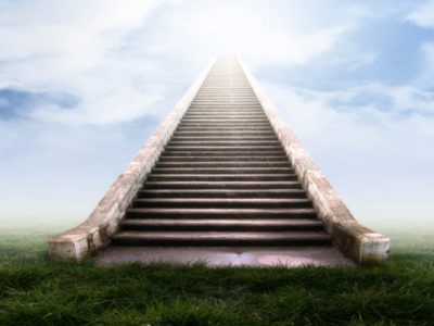 Necessidades Designadas