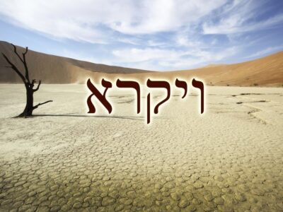 Sacrifício altruísta