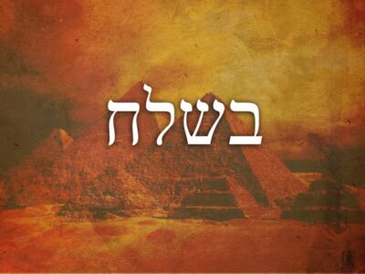 Palavras de Lembrança