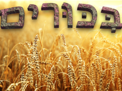 Horários de Chegada